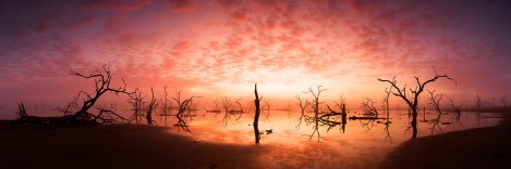 ad4f82e5c6d298848ed66d935124c559